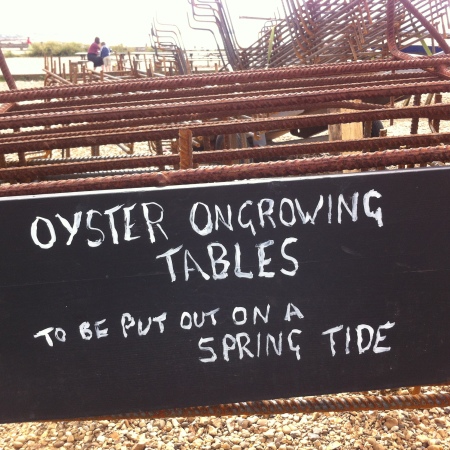 Oysters in Whitstable